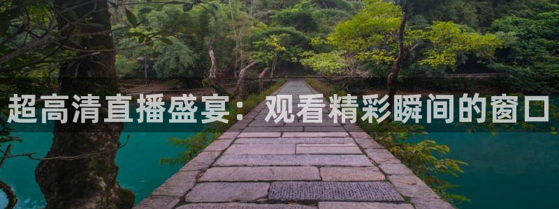 咪咕直播手机版：超高清直播盛宴：观看精彩瞬间的窗口